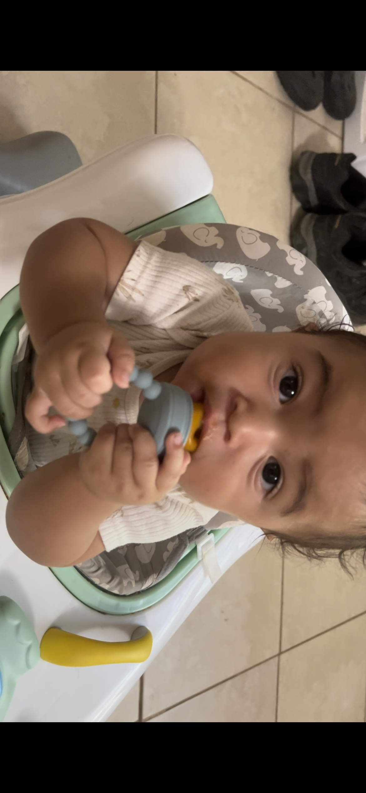 First Foods Taste and Teethe Pacifier