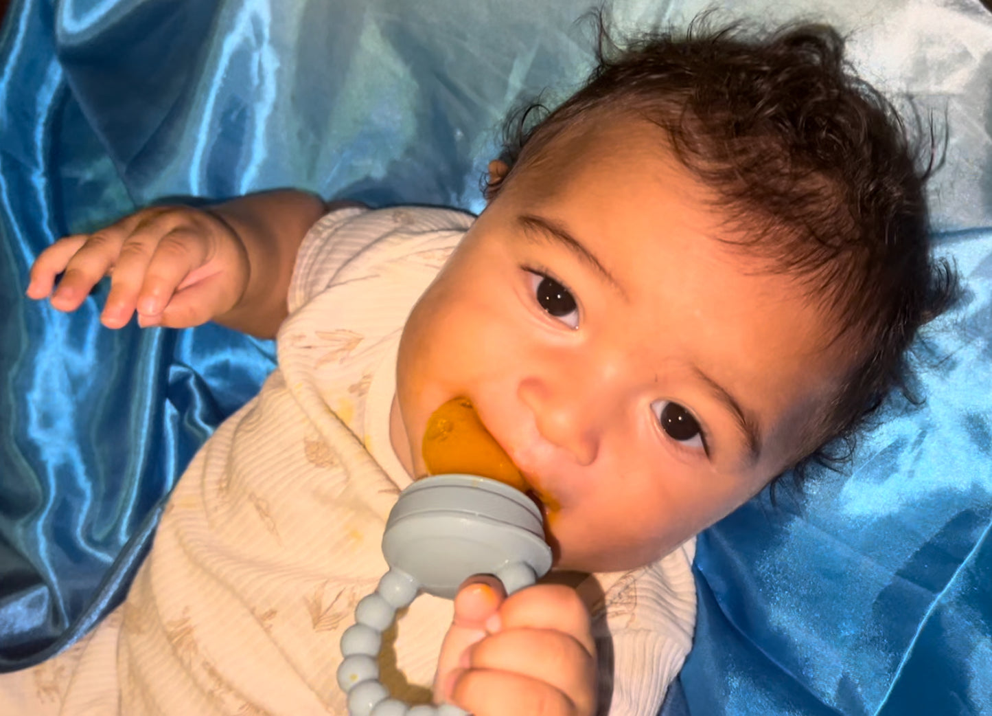 First Foods Taste and Teethe Pacifier