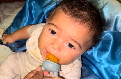 First Foods Taste and Teethe Pacifier