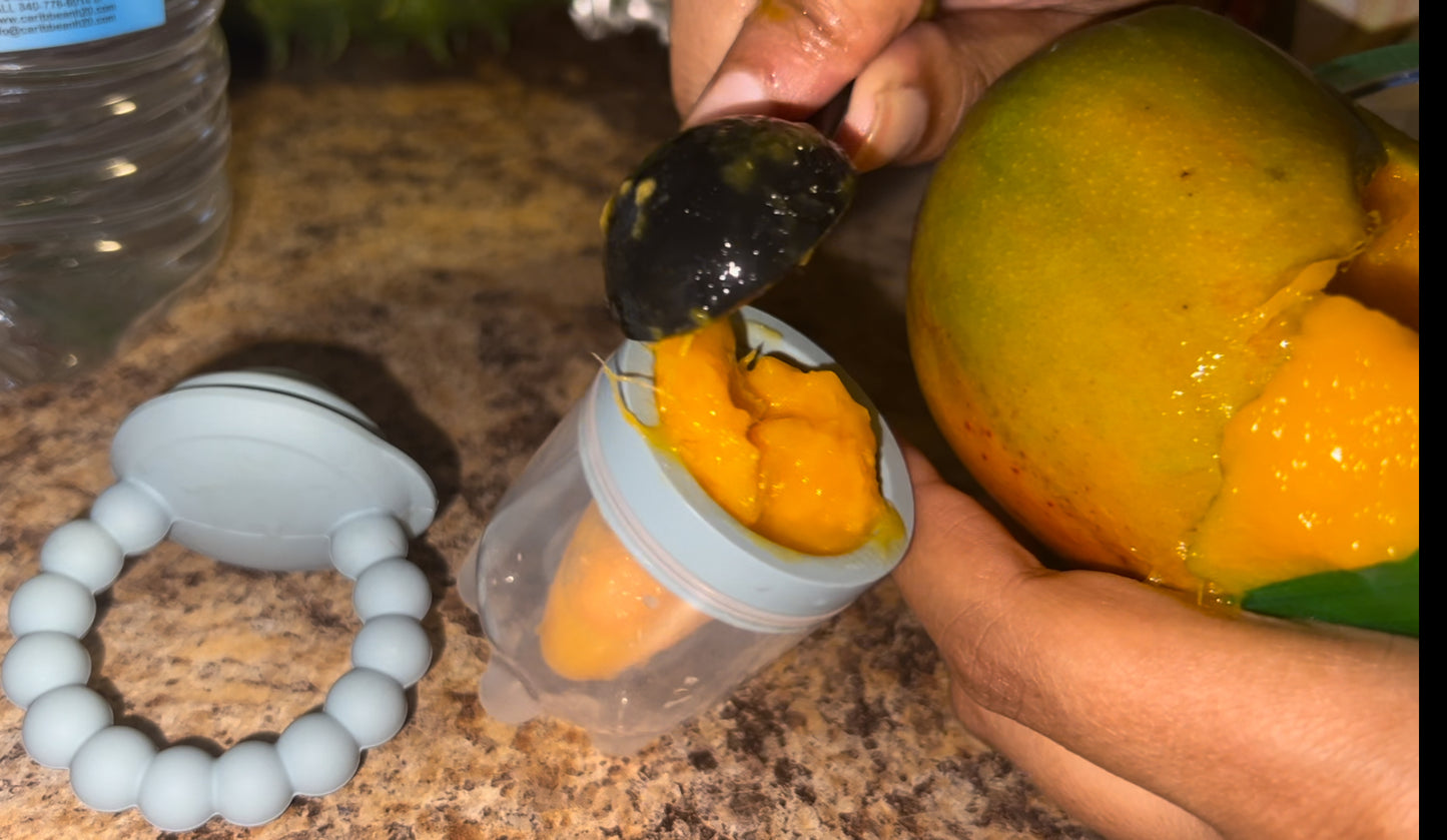 First Foods Taste and Teethe Pacifier