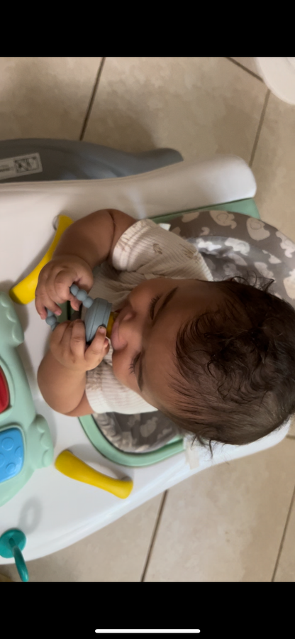 First Foods Taste and Teethe Pacifier