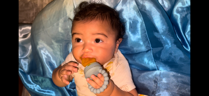 First Foods Taste and Teethe Pacifier