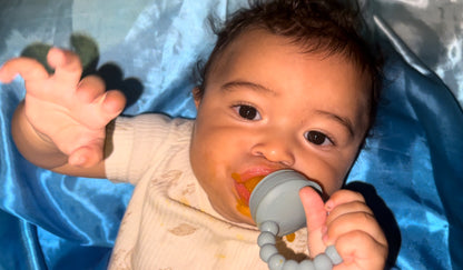 First Foods Taste and Teethe Pacifier