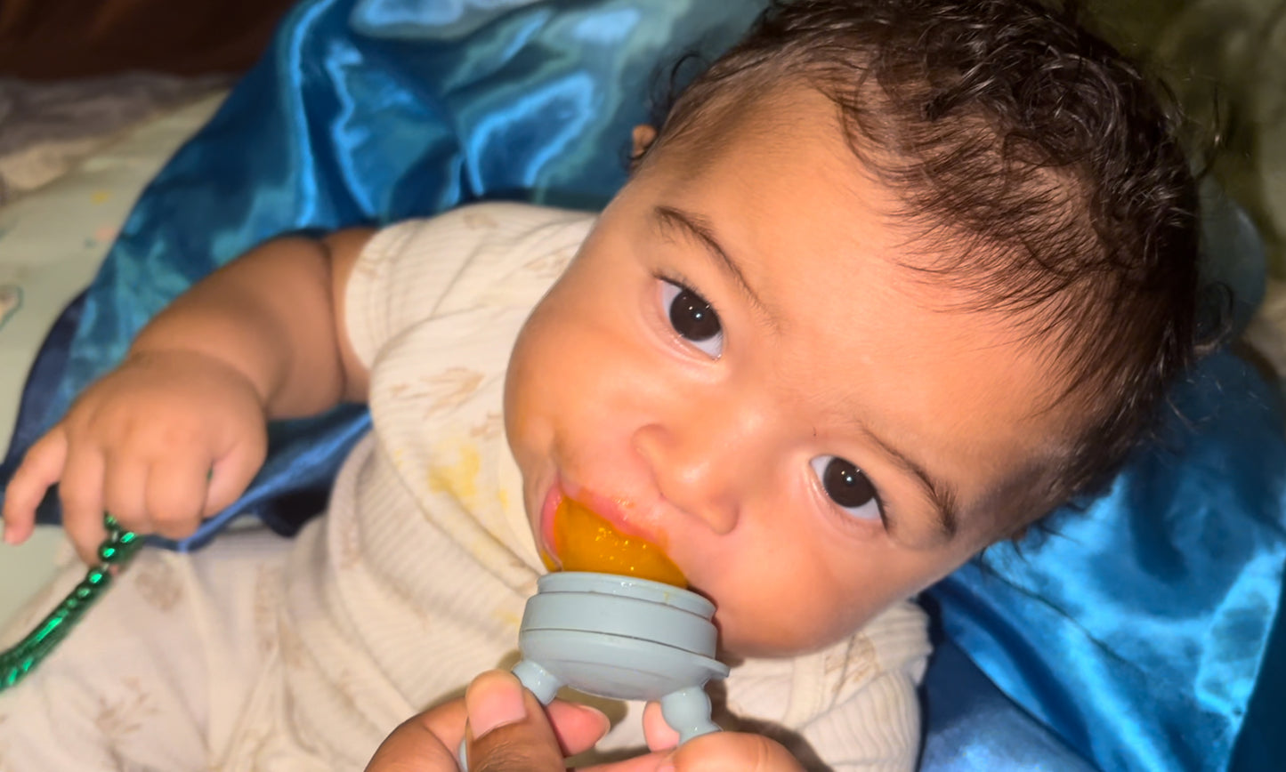 First Foods Taste and Teethe Pacifier