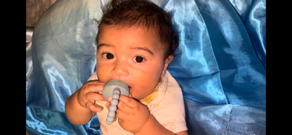 First Foods Taste and Teethe Pacifier